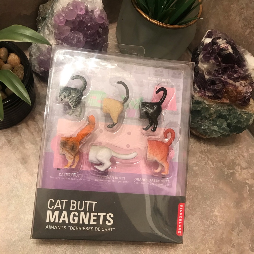 😹Cat butt magnets 😸